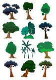 Trees illustration in vector