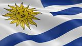Uruguay flag in the wind