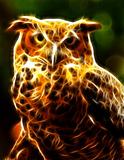 Glowing owl