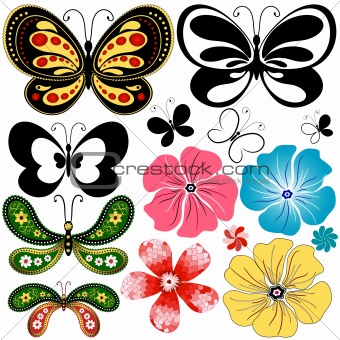 New collection butterflies and flowers (vector)