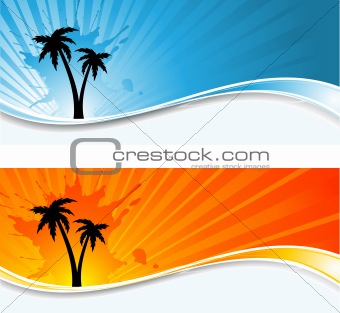 Palm tree backgrounds