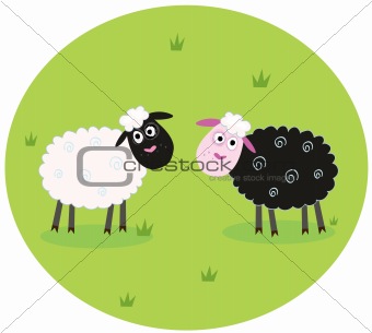 Black and white sheep