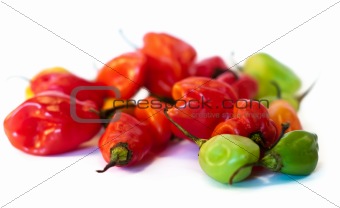 Vegetarian peppers