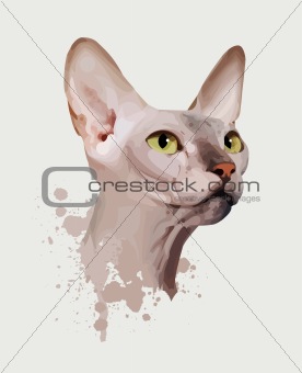 portrait of a cat on an white background, yellow eyes