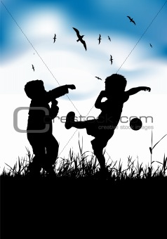 Little boys playing with ball on summer field