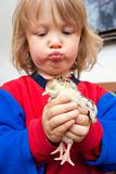 little boy carefully holding new born chick in his hands