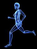 female jogger - x-ray