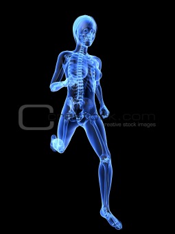female jogger - x-ray