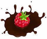 Raspberry In Chocolate Splash