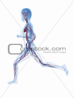 female jogger