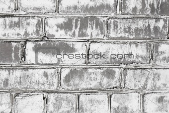 Wall from brick damaged by mould