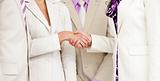 Close-up of business people shaking hands 