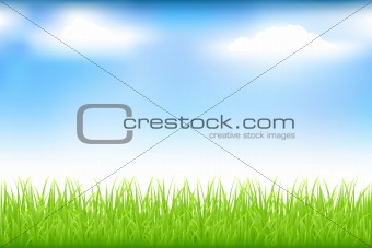 Green Grass And Blue Sky
