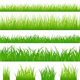 4 backgrounds of green grass and 4 tufts of grass