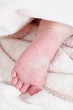 close up of baby«s feet wrapped in white blanket