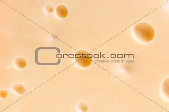 Piece of tasty cheese 