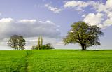 Green field with trees and bright blue sky. Essex, Great Britain