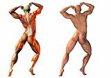 fitness anatomy