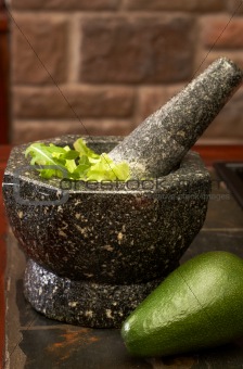 Salad leaves in the herb crusher