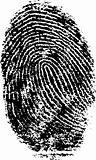 Single black fingerprint - simple monochrome image