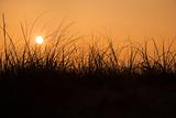 Sunset over sand dune on Bald Head Island, North Carolina.