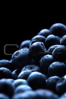fresh blueberry