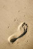 Footprint in sand.