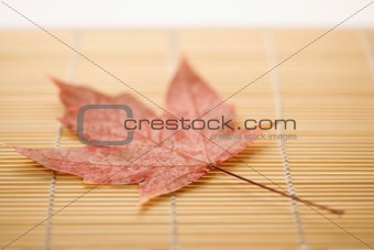 Maple leaf on bamboo mat.