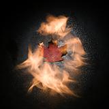 Maple leaf in flames.