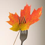 Maple leaf pierced by fork.