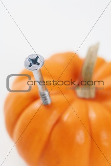 Screw drilled into pumpkin.