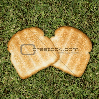 Two slices of toast on grass.