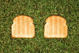Two slices of toast on grass.