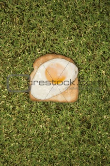 Fried egg on toast in grass.