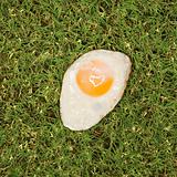Fried egg on grass.
