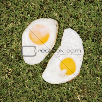 Two fried eggs on grass.