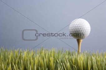 Golf ball resting on tee in grass.