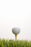 Golf ball resting on tee in grass.