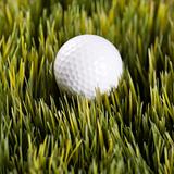 Golfball resting in grass.