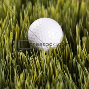 Golfball resting in grass.