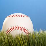 A baseball resting in grass.