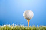Golfball on a tee in grass.