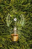 Glass light bulb laying in grass.