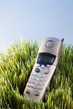 Landline telephone placed in grass.