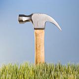 Hammer with wooden handle placed behind grass.