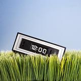 Retro alarm clock placed in grass.