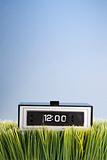 Retro alarm clock placed in grass.