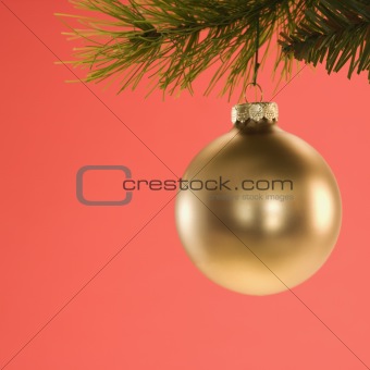 Christmas ornament hanging from branch.