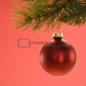 Christmas ornament hanging from branch.