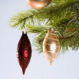 Christmas ornaments hanging from branch.